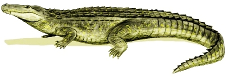Painting: Crocodile